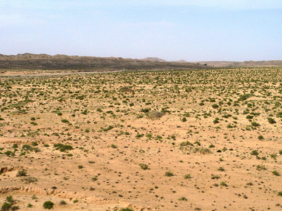 深圳水質(zhì)檢測機(jī)構(gòu)